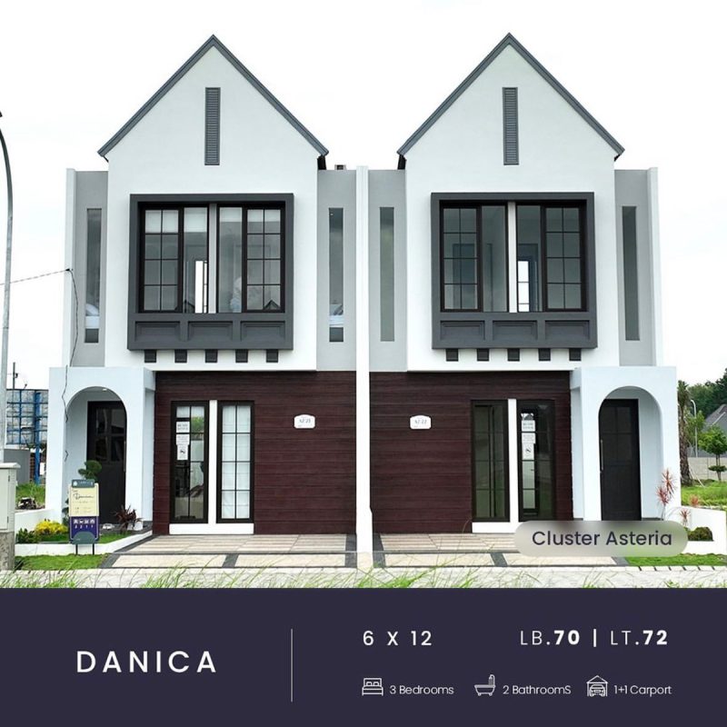 Type Danica